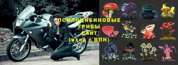 дмт Белоозёрский