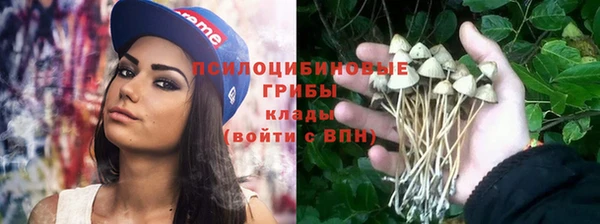 альфа пвп Беломорск